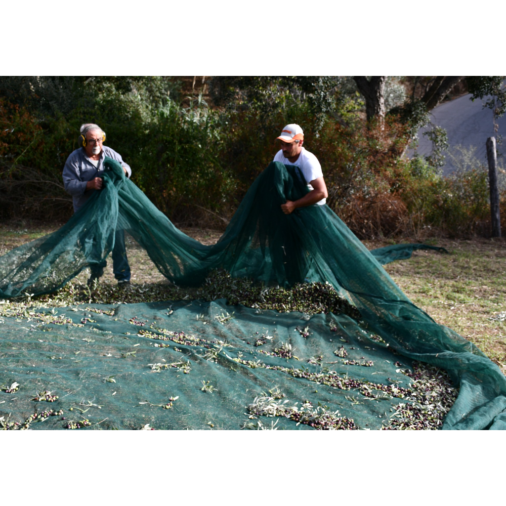 Olio Extravergine di Oliva Biologico Calabrese - Pet da 1 Litro