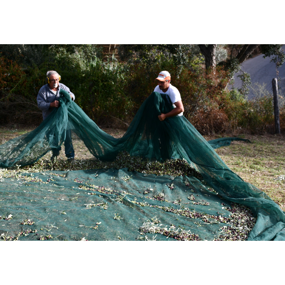 Olio Extravergine di Oliva Biologico Calabrese - Pet da 50 cl