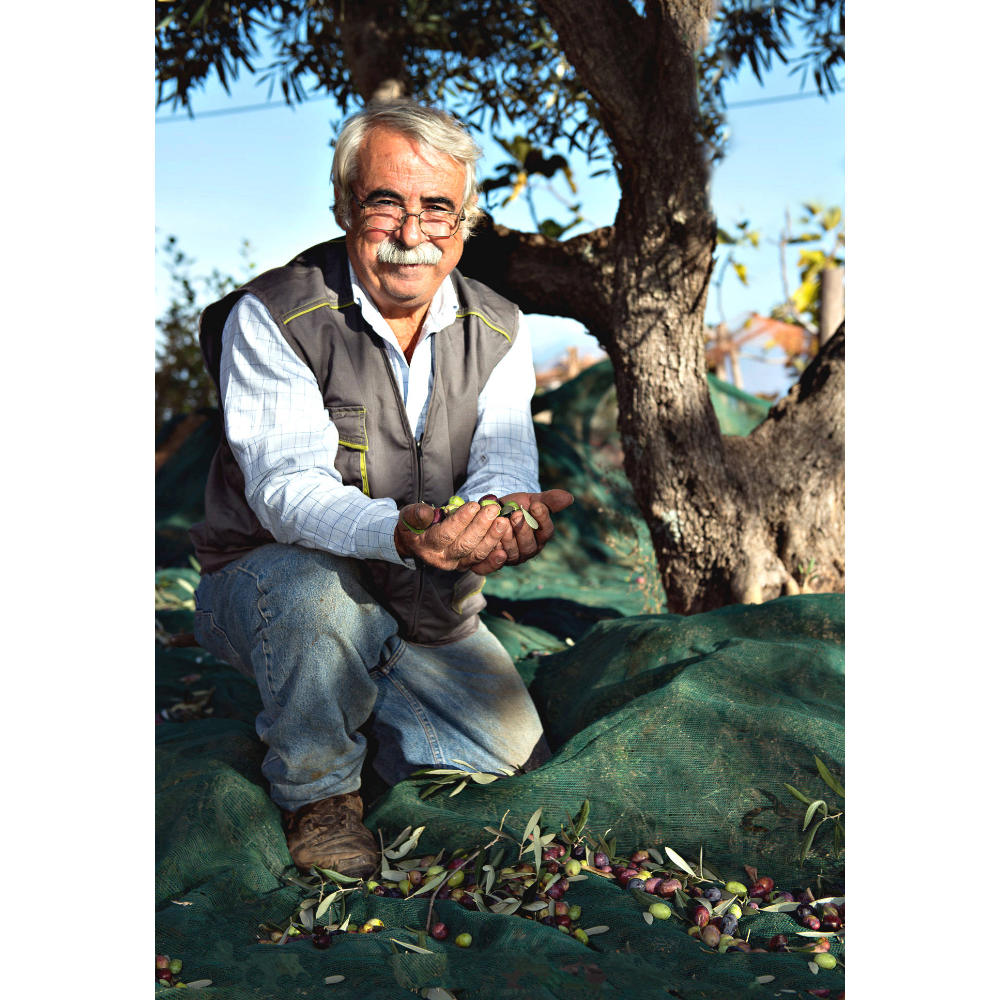 Olio Extravergine di Oliva Biologico Calabrese - Pet da 50 cl