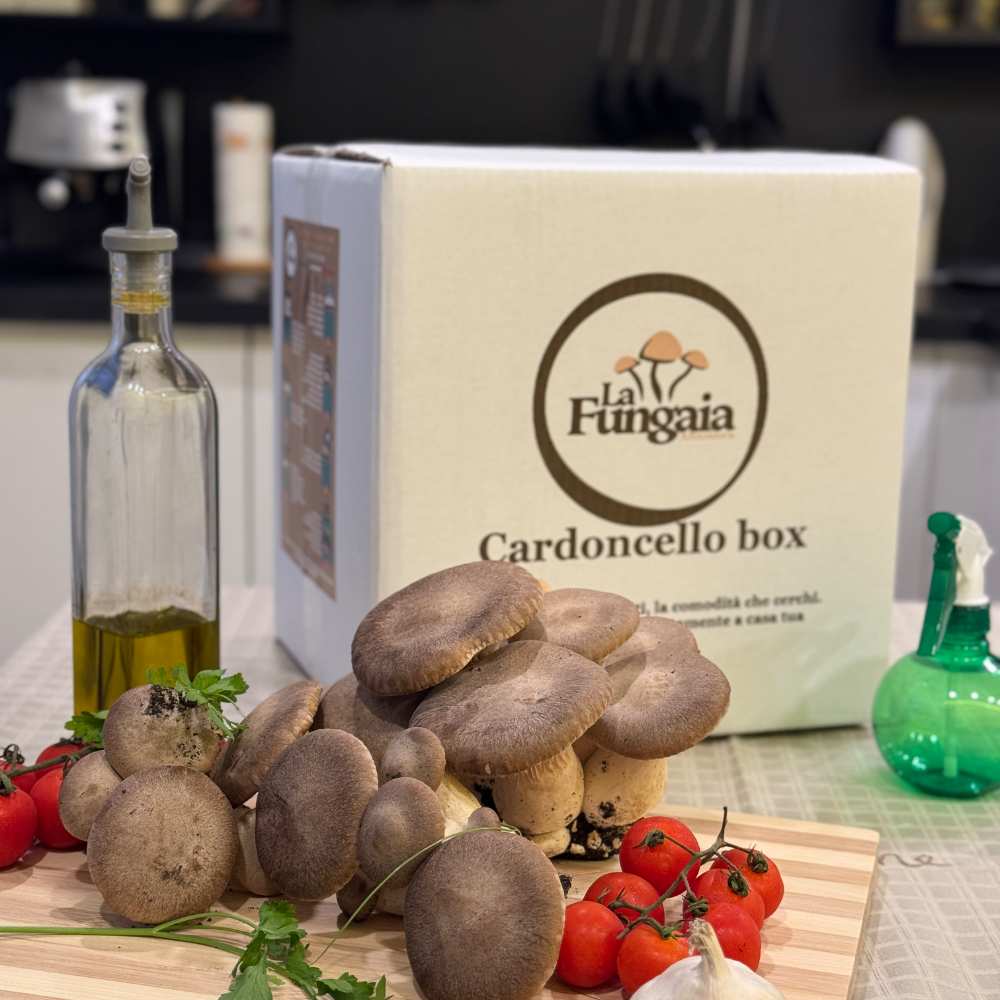 Funghi Cardoncelli della Murgia Freschi - 5Kg