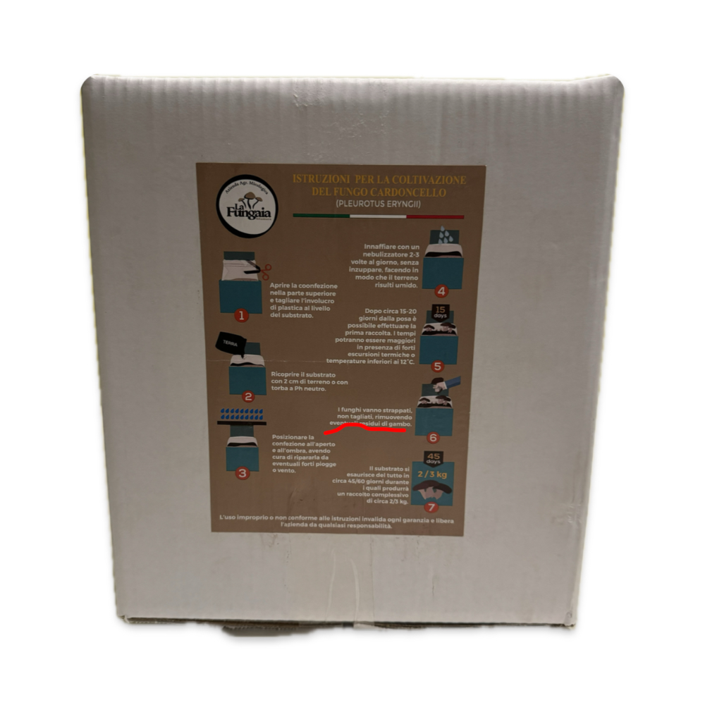 Kit Composto da 2 Ballette + Terriccio per la Coltivazione del Fungo Cardoncello della Murgia