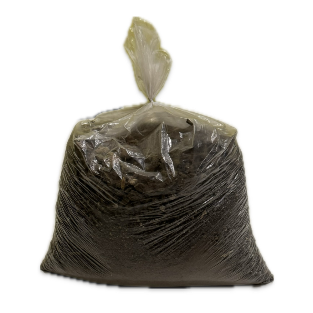 Kit Composto da 2 Ballette + Terriccio per la Coltivazione del Fungo Cardoncello della Murgia