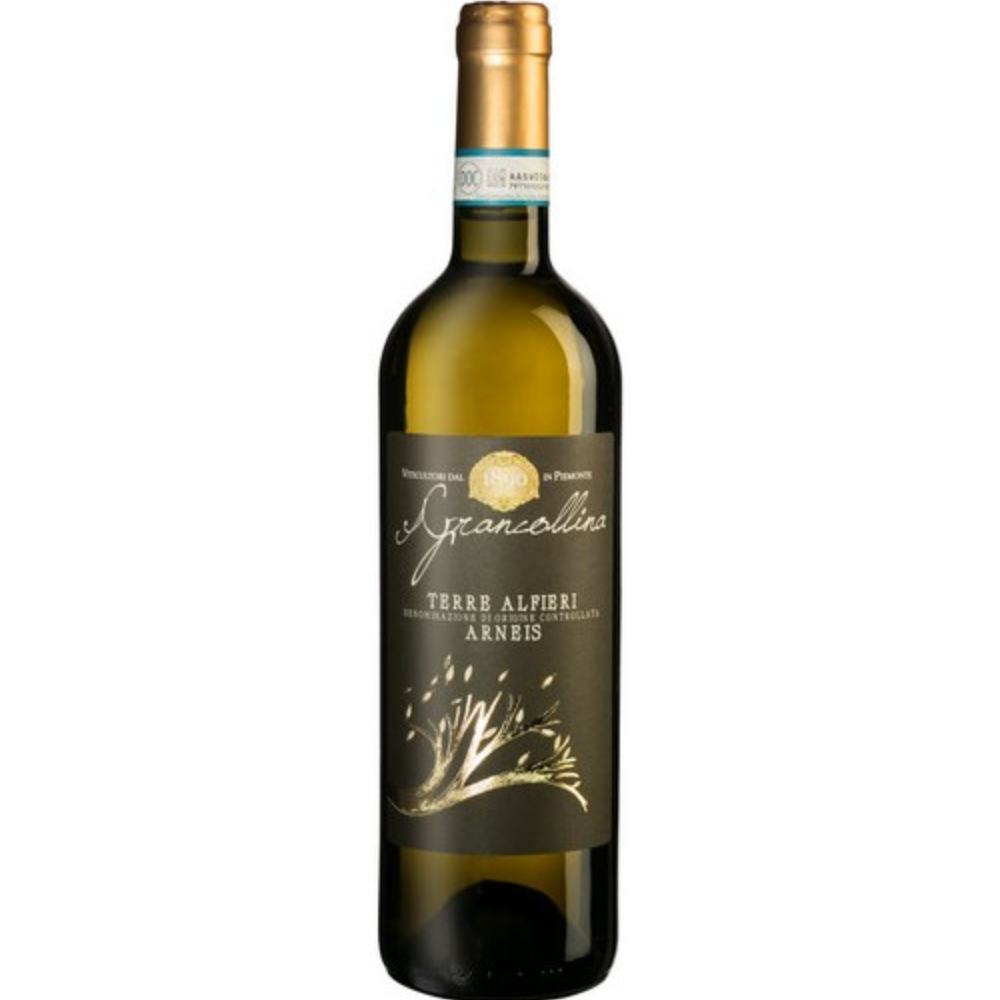 Vino Terre Alfieri Arneis