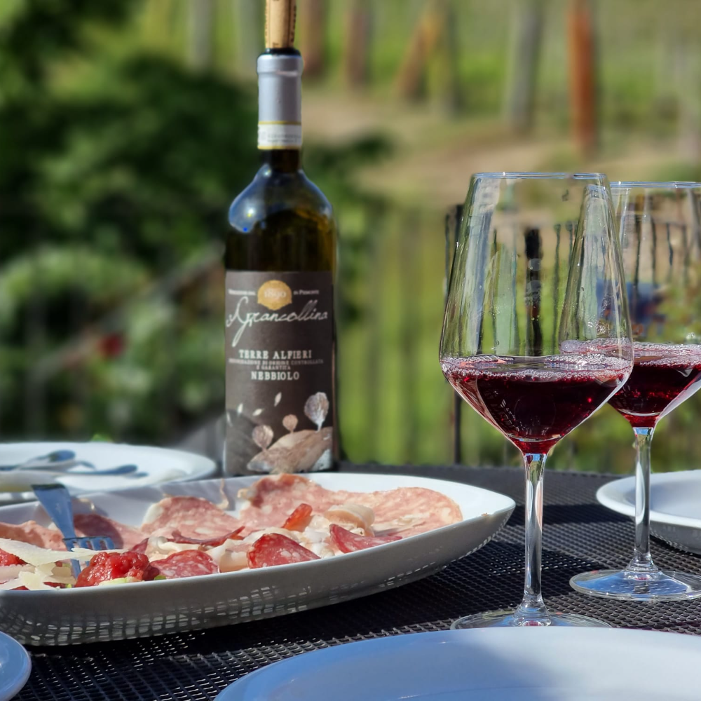 WINE EXPERIENCE: Tour in Cantina alla scoperta del Terre Alfieri