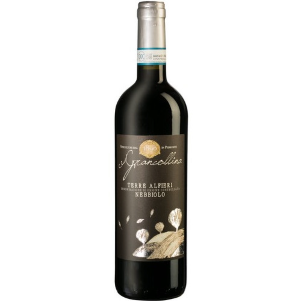 Vino Nebbiolo Terre Alfieri