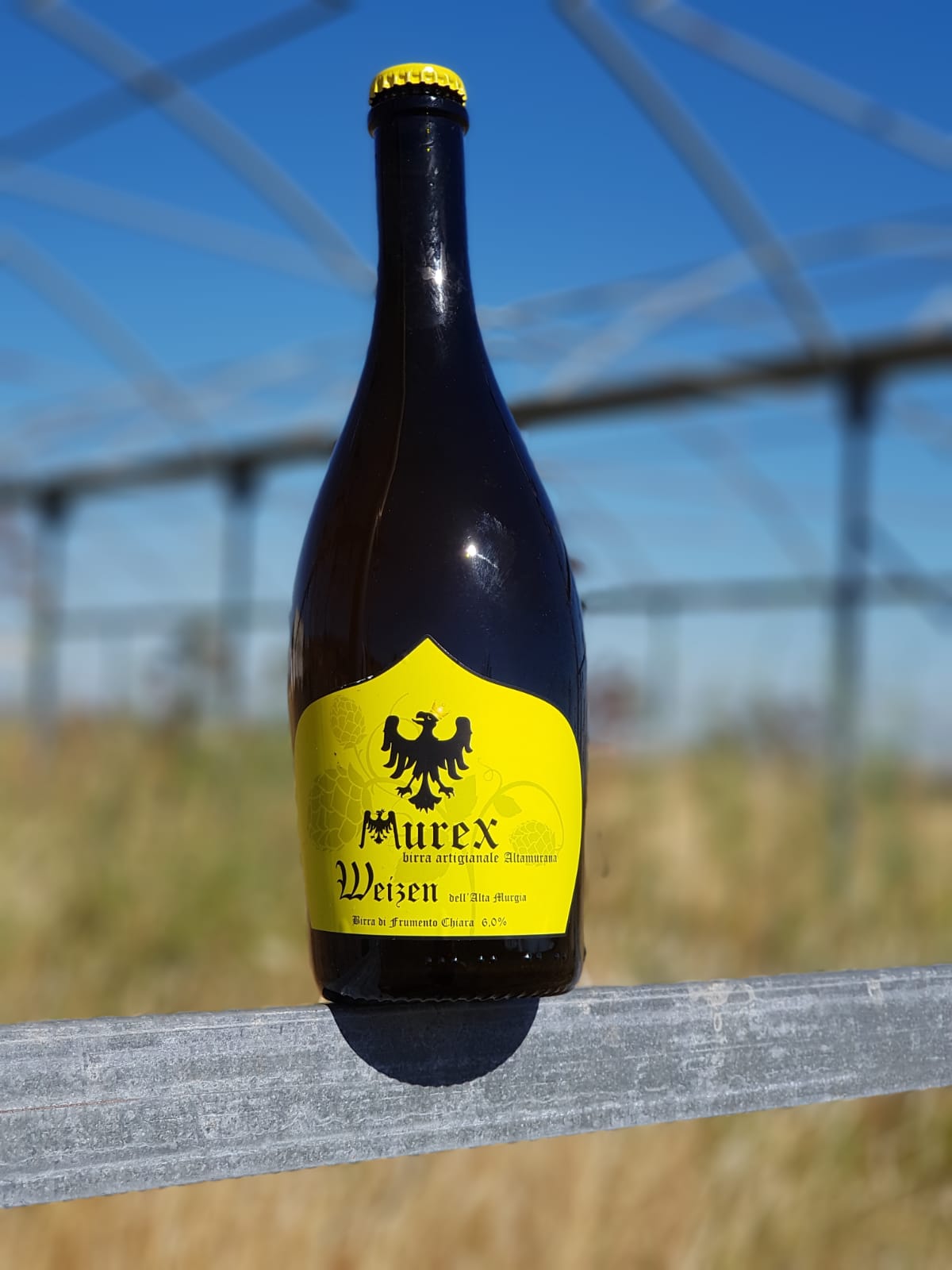 Birra Weizen dell'Altamurgia