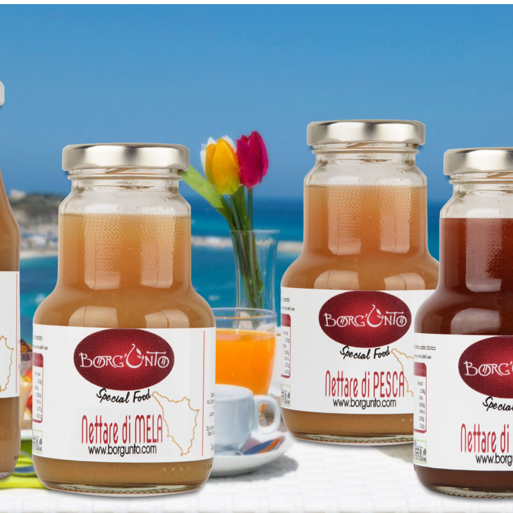 Nettare di frutta Borgunto 200ml
