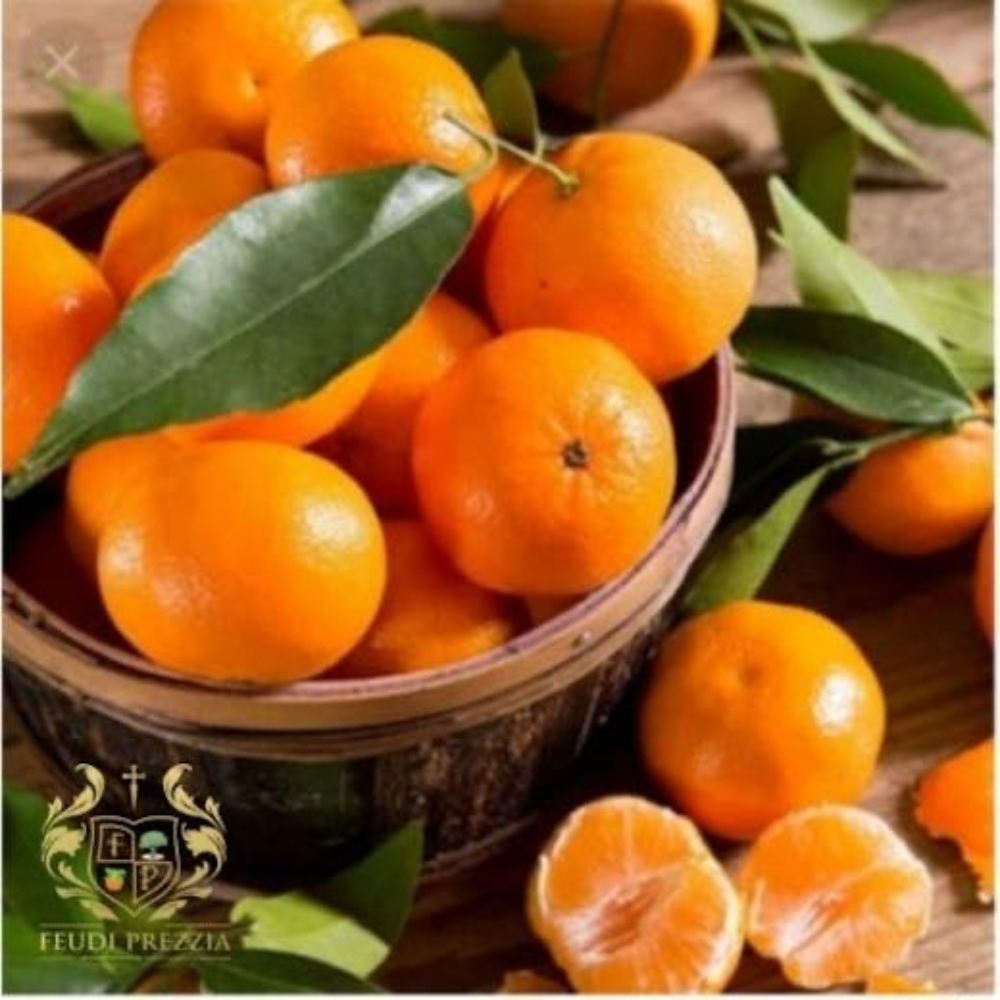 Clementine di Ribera Cultivar Valley - 18kg