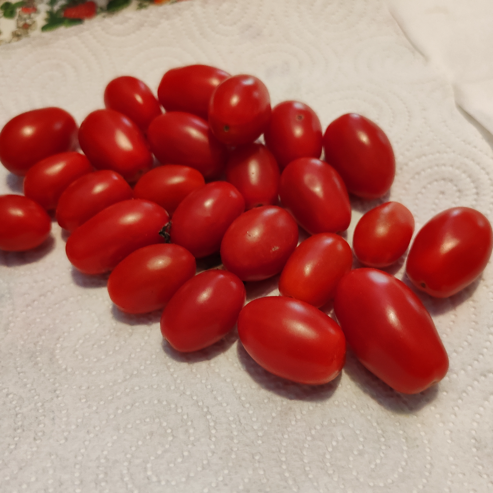Pomodori Datterini a Residuo Zero e Nichel Free - 250g