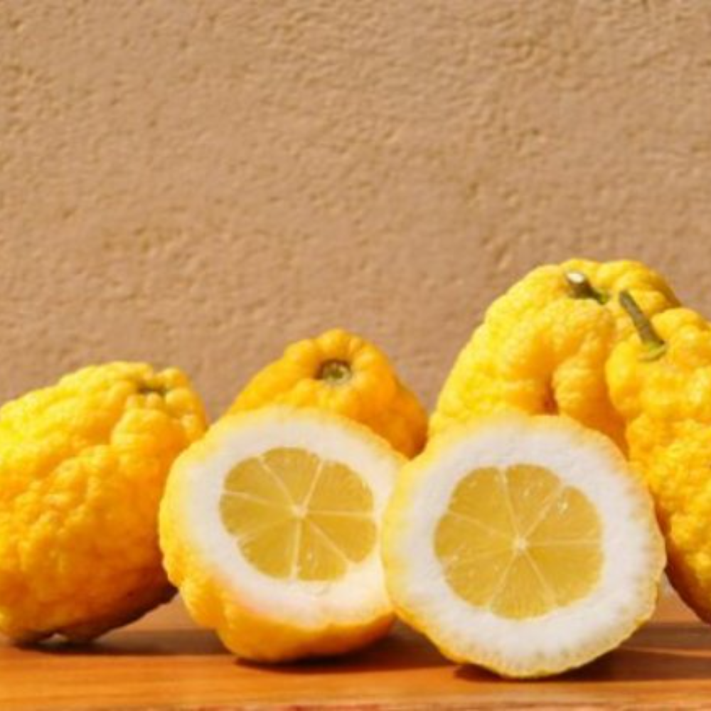 Cedro Siciliano - 1Kg