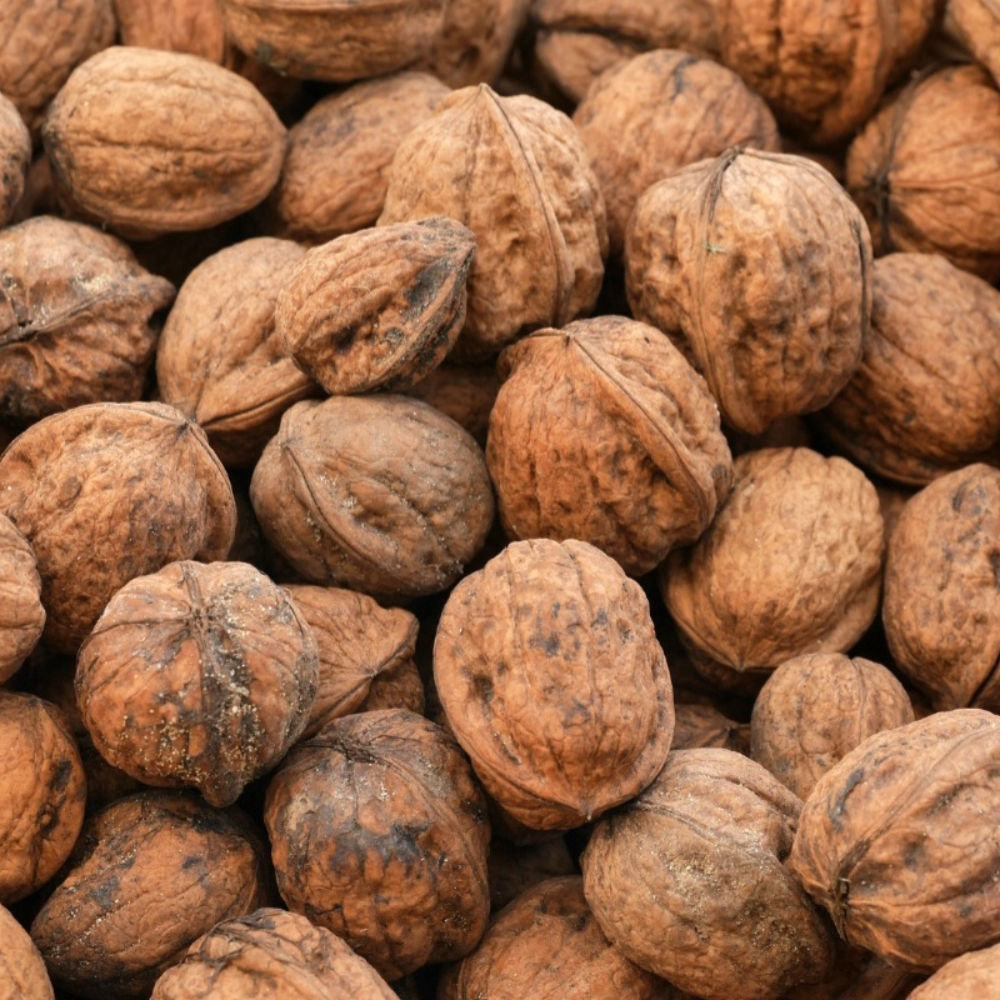 Noce in Guscio Siciliana - 1Kg