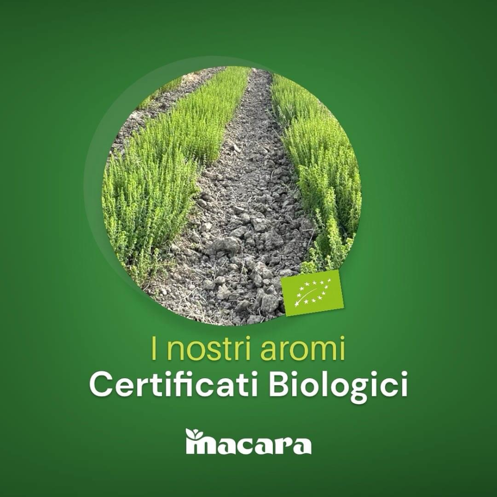 Salvia di Sicilia in Foglie - 15gr
