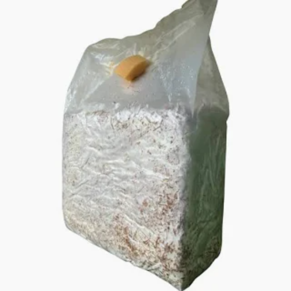 3 Ballette per Coltivare i Funghi Cardoncelli Bianchi della Murgia