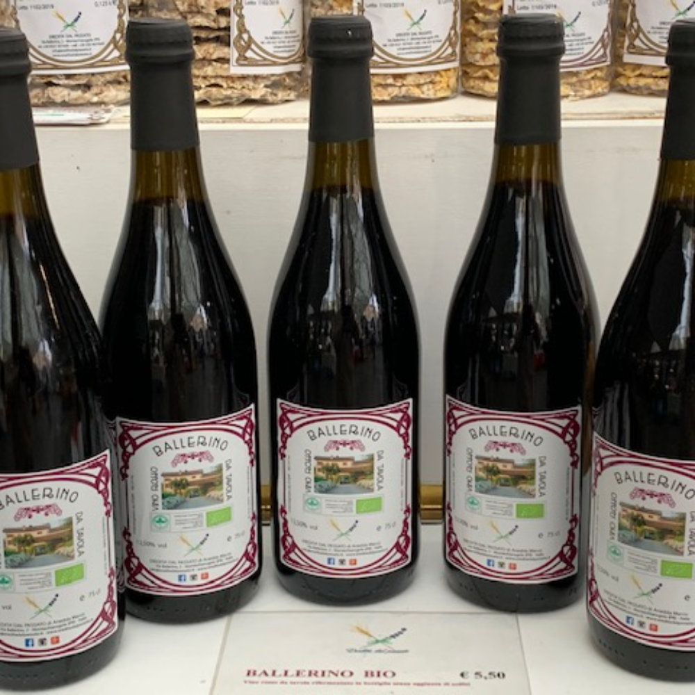 Vino Rosso Lambrusco Maestri e Barbera dell'Emilia BIO Senza l'aggiunta di solfiti - 75cl, 9 Litri o 18 Litri