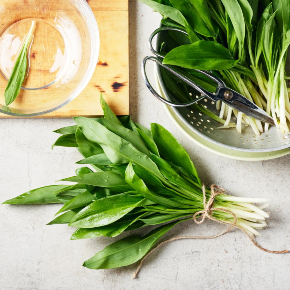 Pesto di Aglio Orsino Selvatico - 180g o 280g