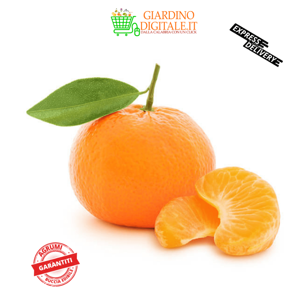 Clementine Calabresi Senza Semi - 9 kg