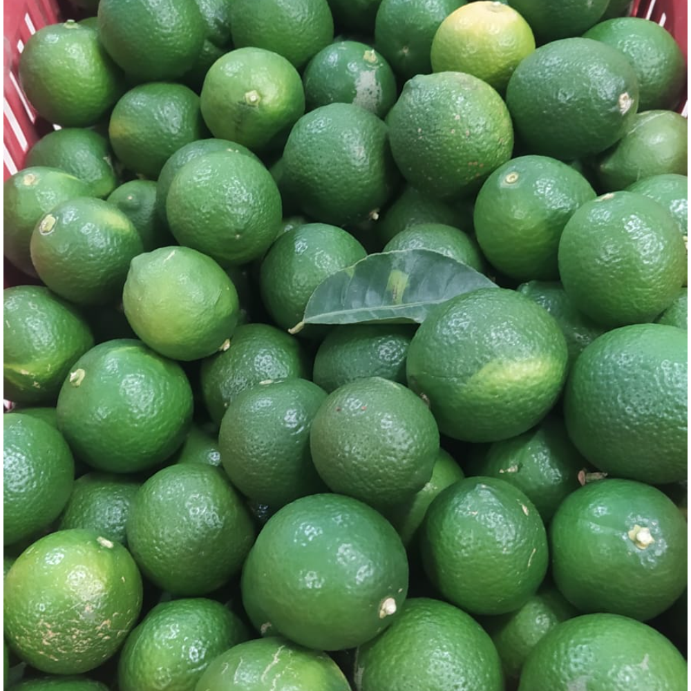 Lime Calabresi - 3Kg