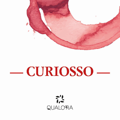 Vino Aglianico "Curiosso"🍷 