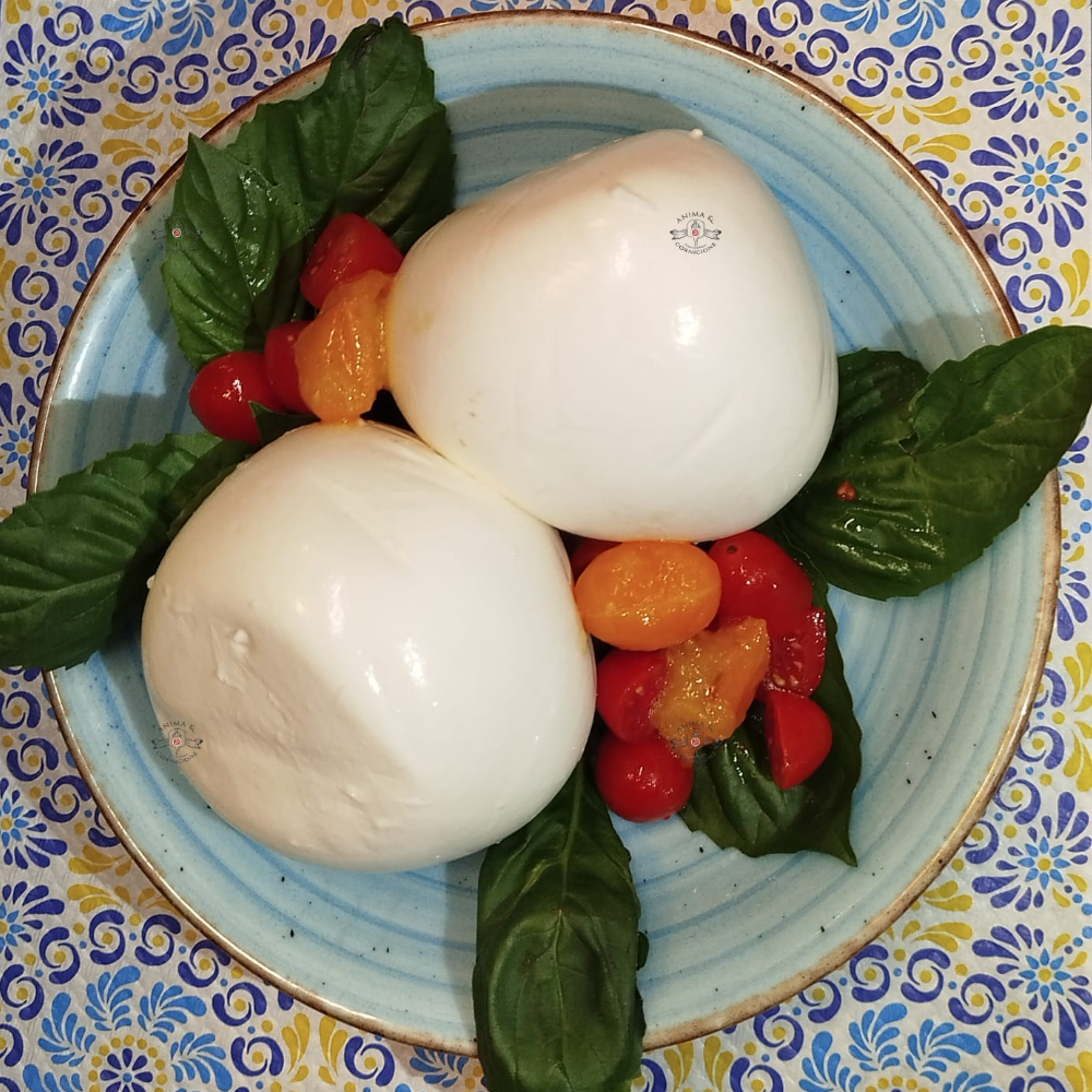 Mozzarella di Bufala Campana di Battipaglia - 3Kg