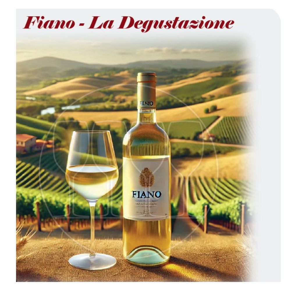 Vino Fiano Bianco 