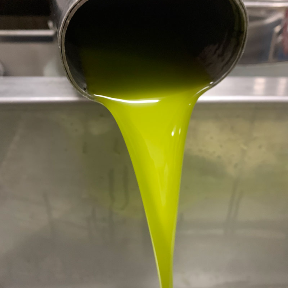 Olio Extra Vergine d’Oliva Italiano – Latta da 5 Litri