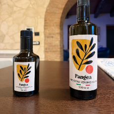 Pangea - Olio EVO Spremuto a Freddo e Agrumi di Qualità