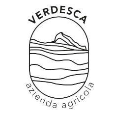 Verdesca 