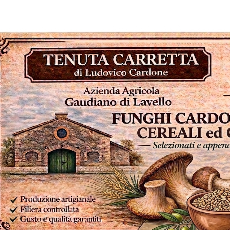 Tenuta Carretta