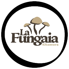 Azienda Agricola La Fungaia 