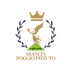 Arancia Poggio Pizzuto - Arance Siciliane Bio dell’Etna