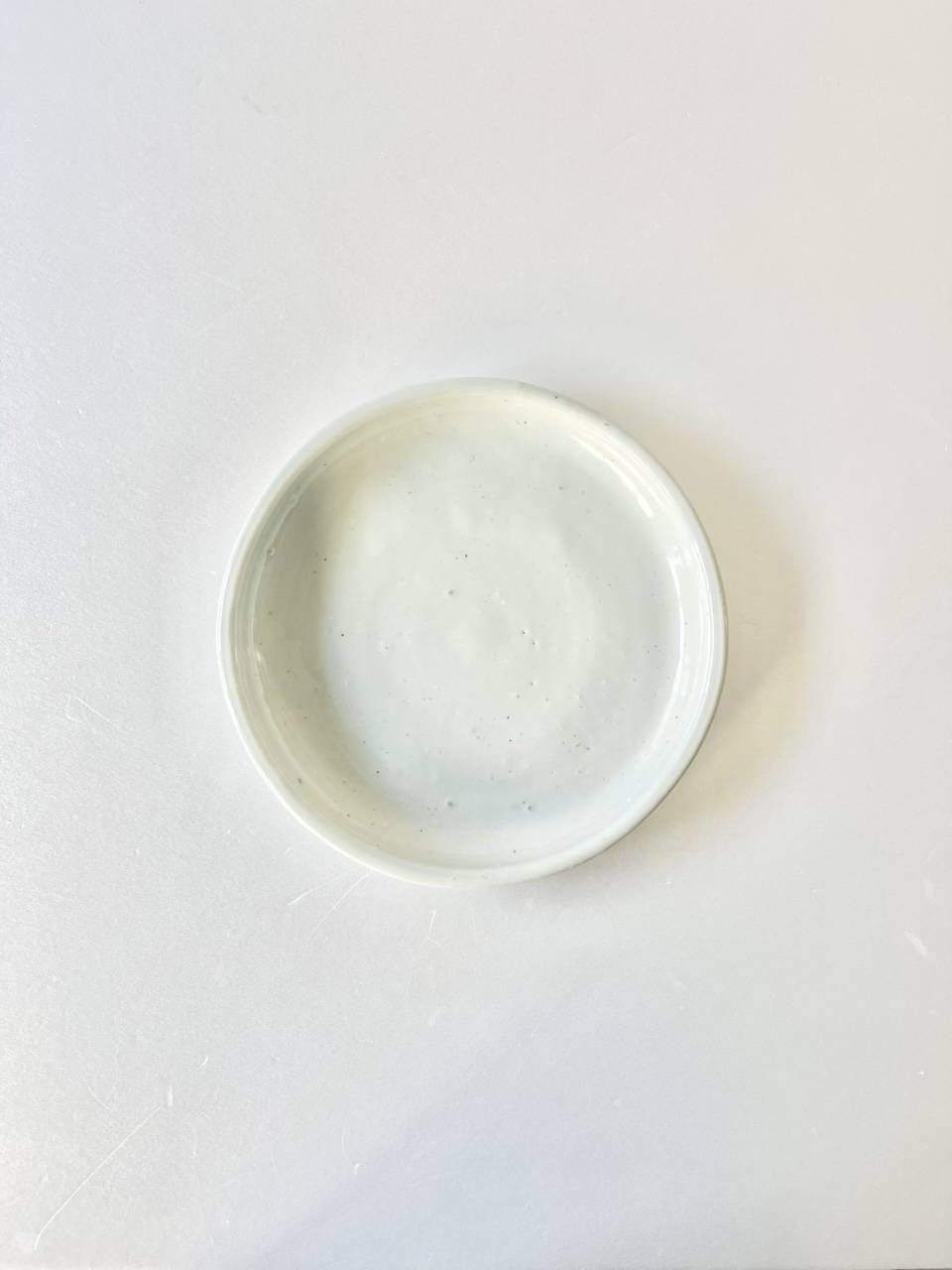 【美品】田鶴濵 守人　半磁7寸 玉縁 