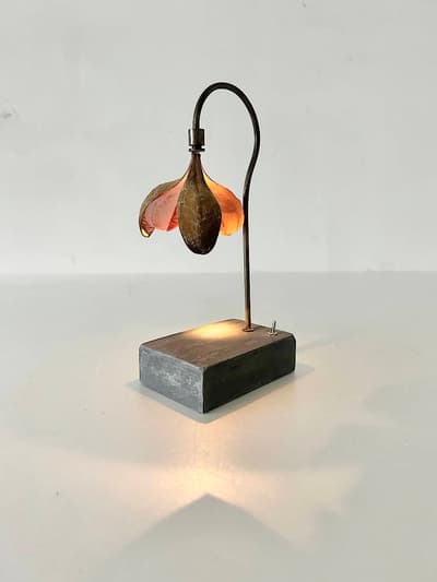 【美品】はいいろオオカミ+花屋西別府商店　森の小さな灯　カカイ 画像1