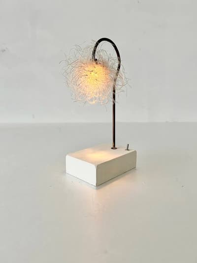 【美品】はいいろオオカミ+花屋西別府商店　森の小さな灯　オキナグサ 画像1