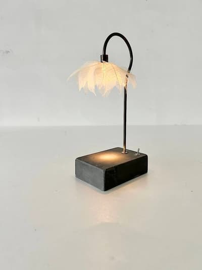 【美品】はいいろオオカミ+花屋西別府商店　森の小さな灯　葉脈 画像1