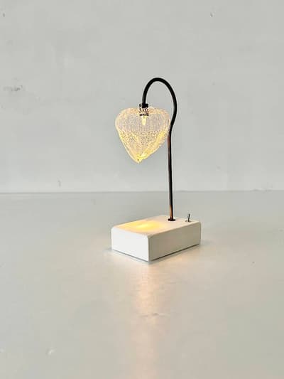 【美品】はいいろオオカミ+花屋西別府商店　森の小さな灯　ホオズキ 画像1