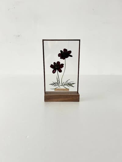 【美品】はいいろオオカミ　ドライフラワースタンド　コスモス 画像1