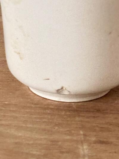 フランスアンティーク 白磁のカフェオレカップ  10cm 大サイズ 画像4