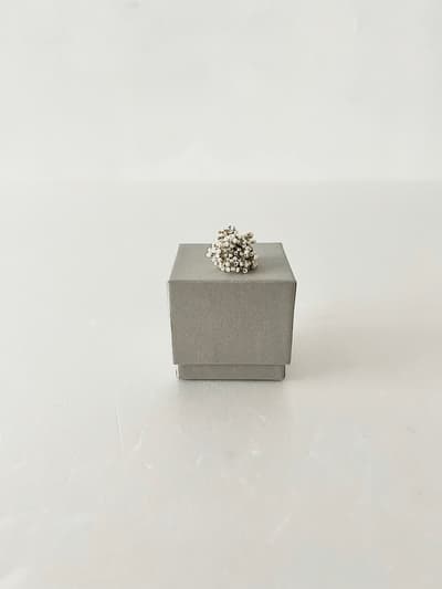 【美品】FUA 始まりの時 イヤリング IVORY/S 画像1