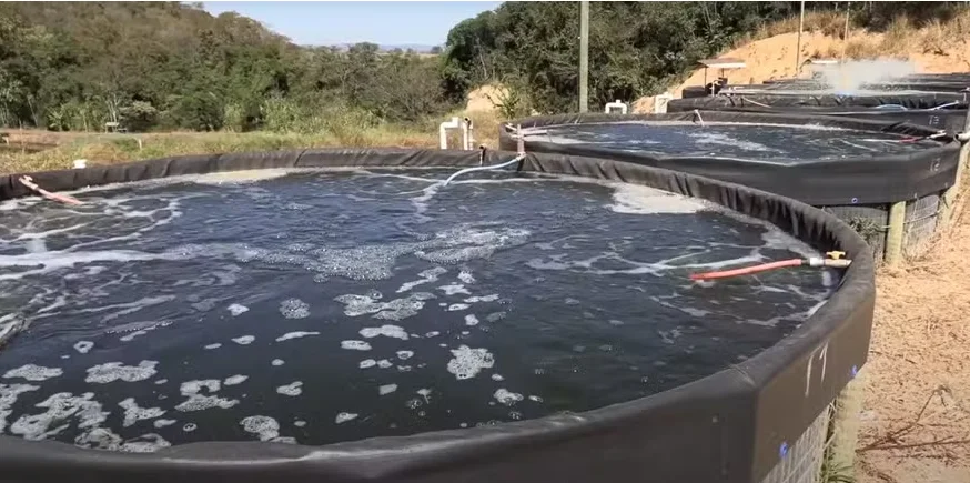 Granja en Casa