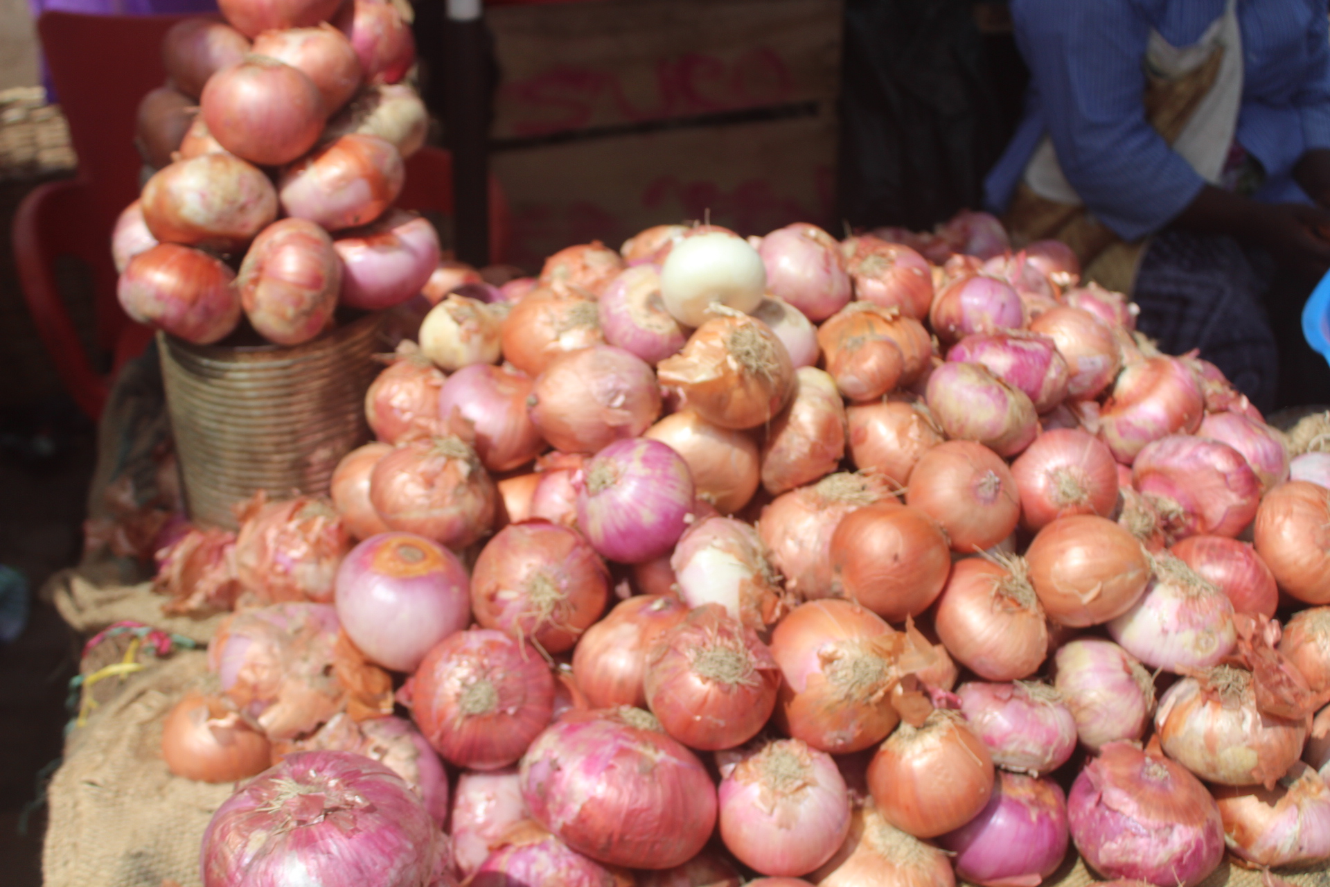 Large Sack of Onions