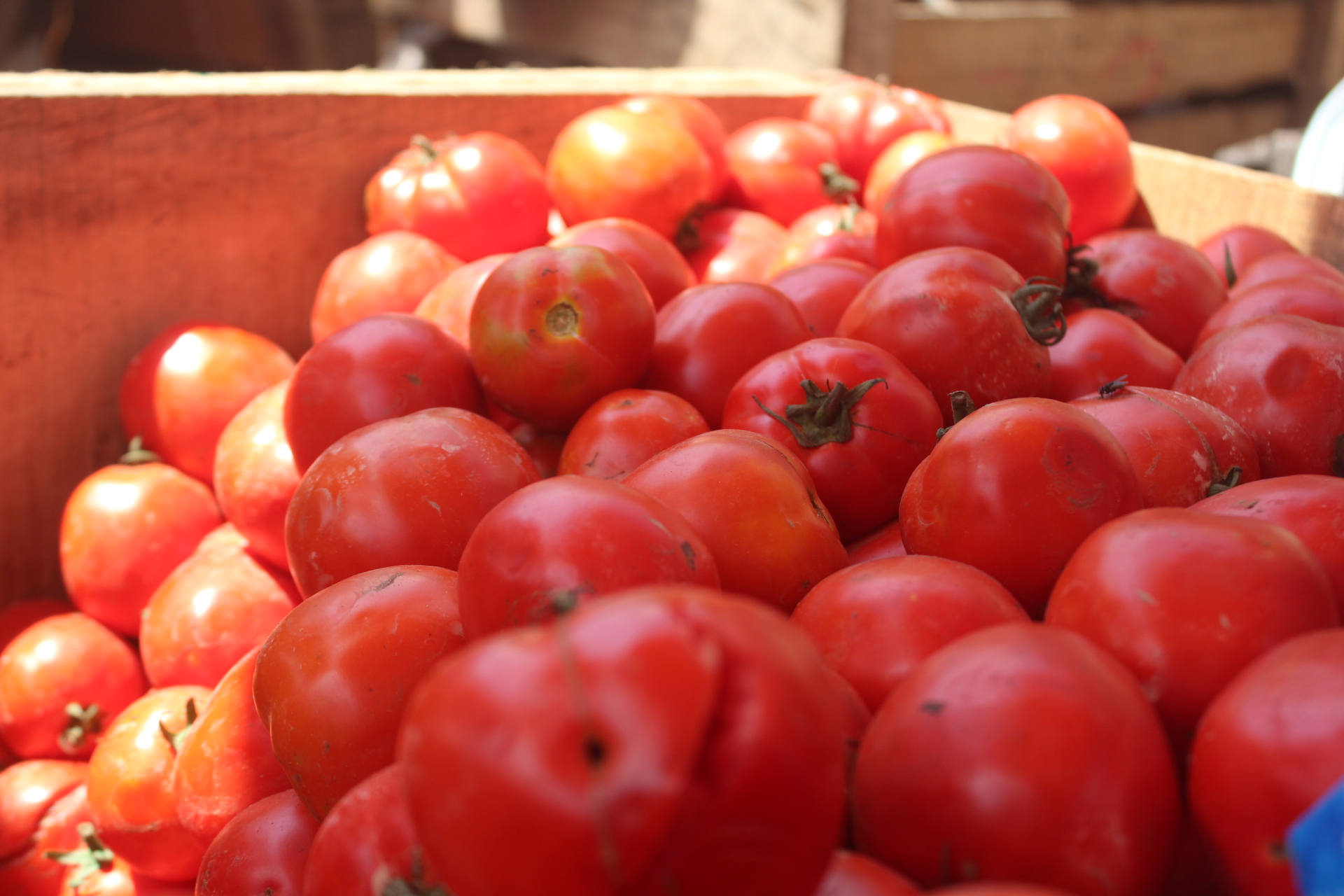 Full Crate of Tomatoes