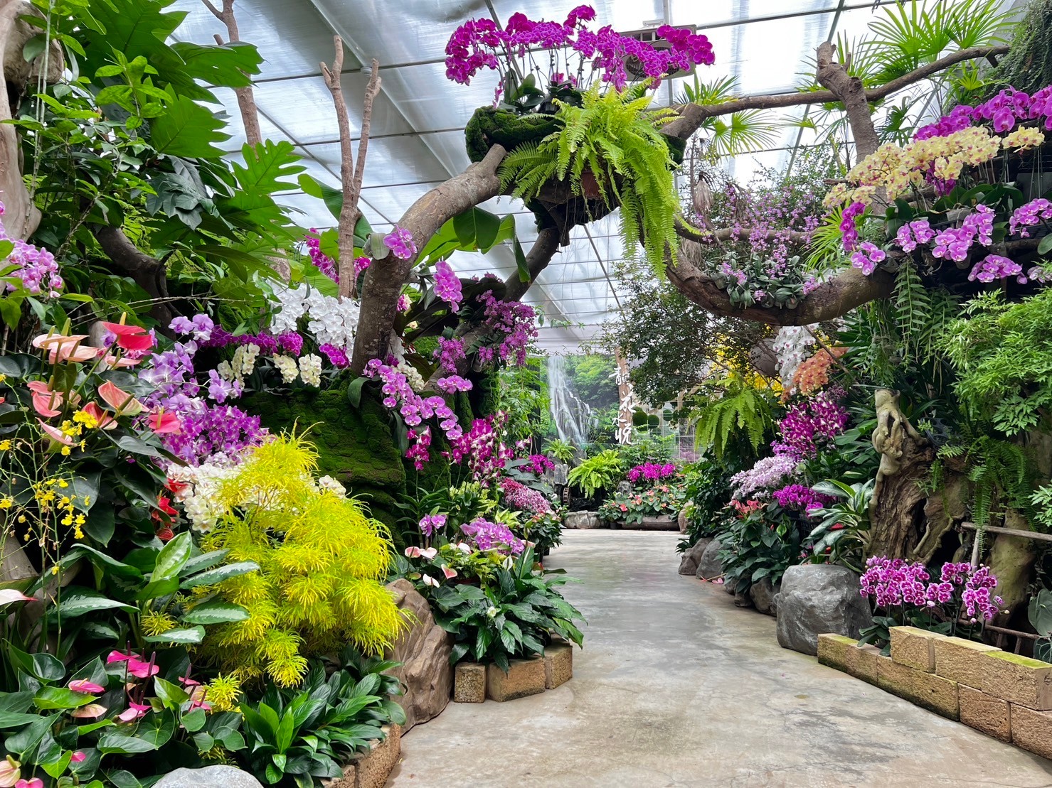 蘭花館