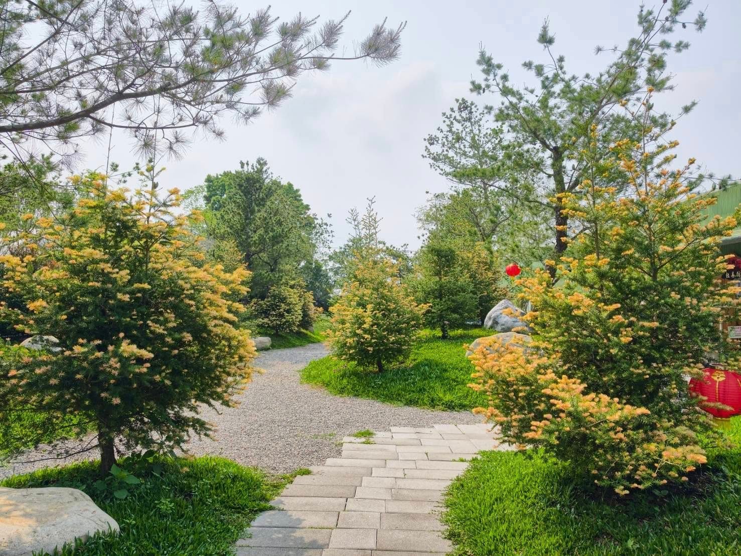 Flower Garden
