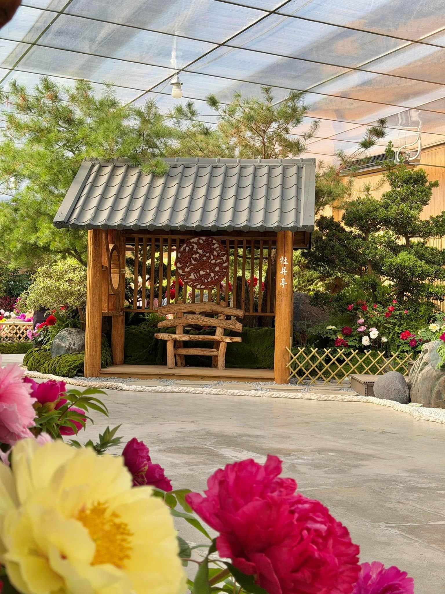 花露農場牡丹花