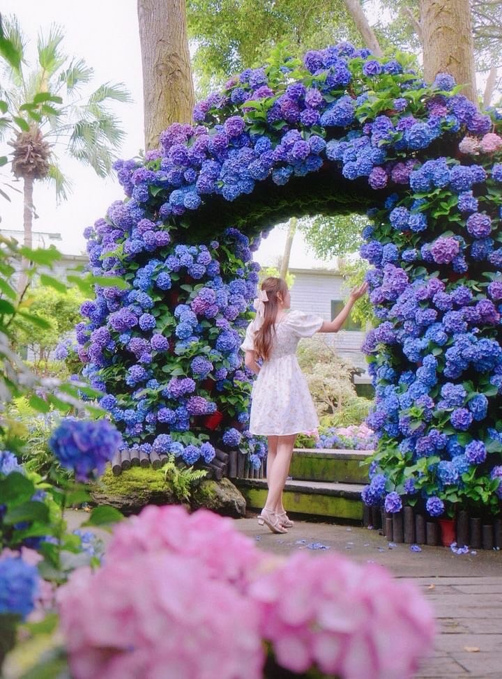 繡球花園