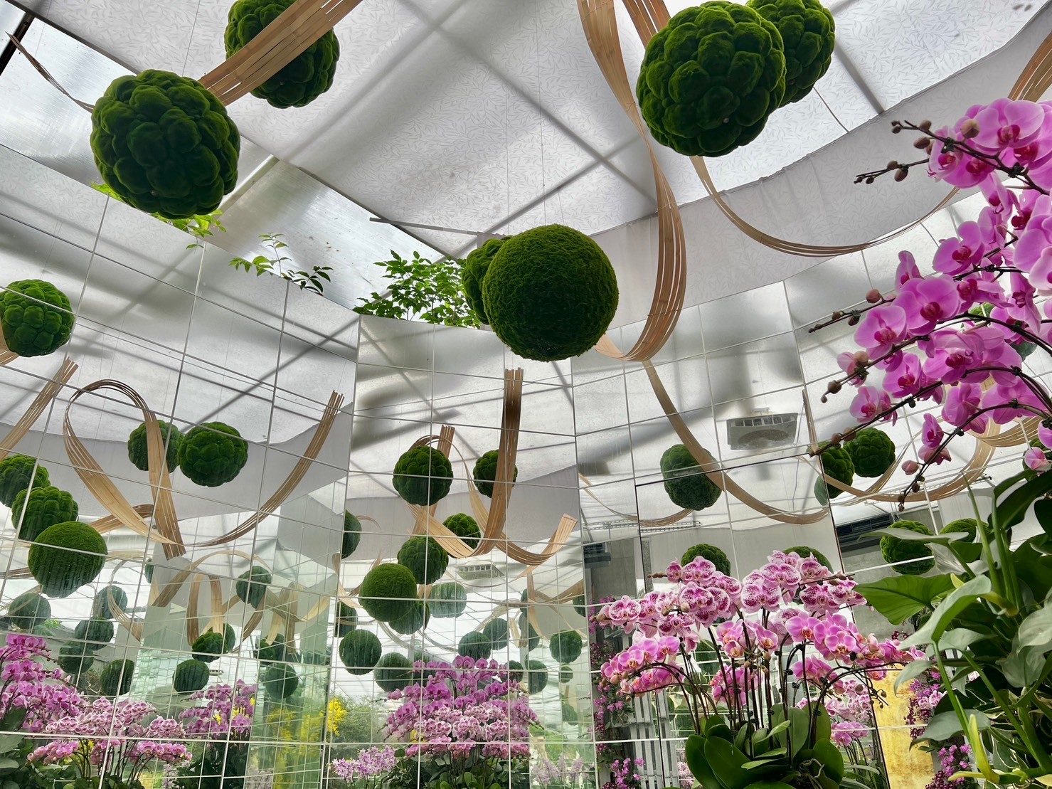 花露農場蘭花館