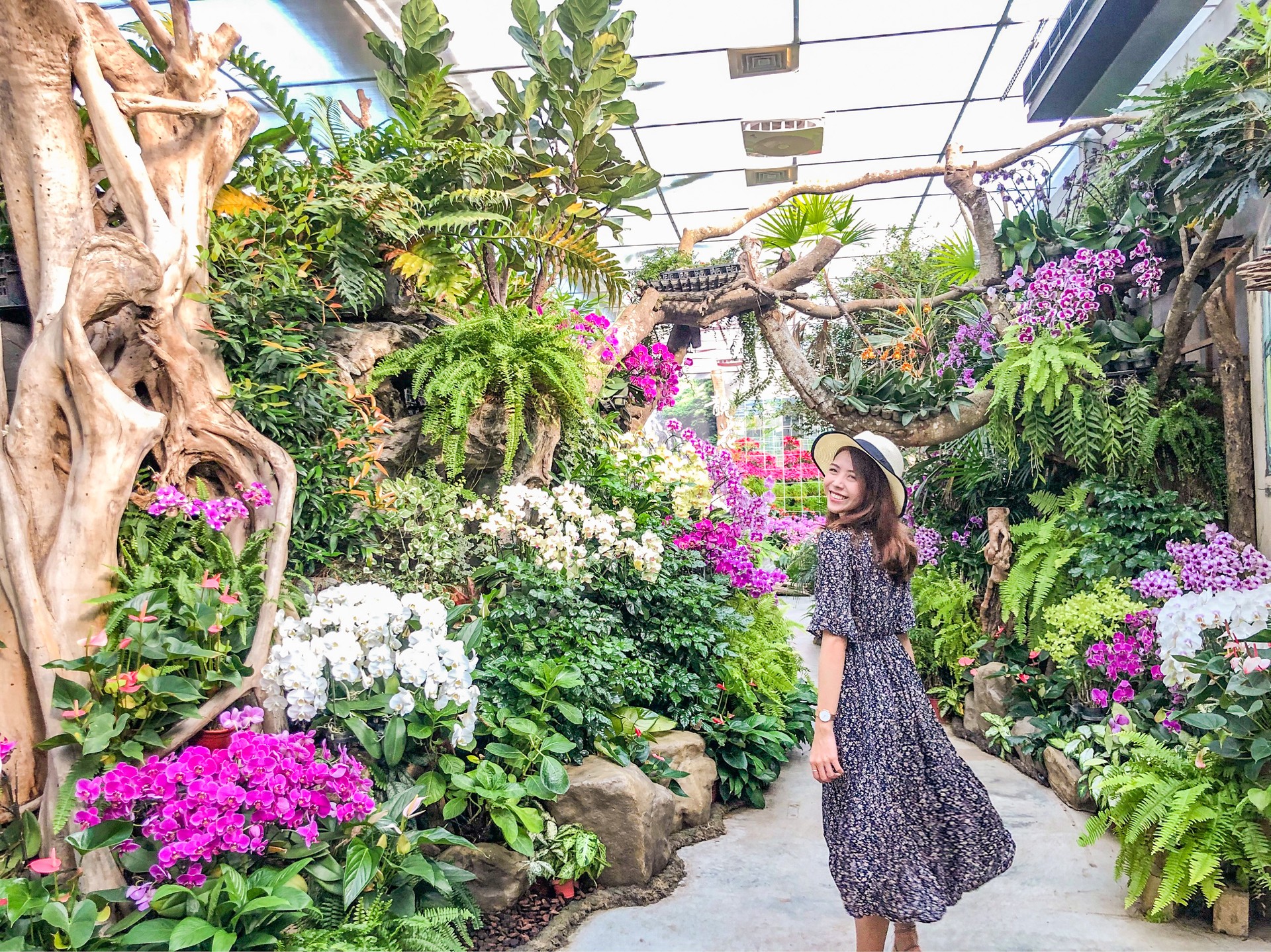 花露農場蘭花館
