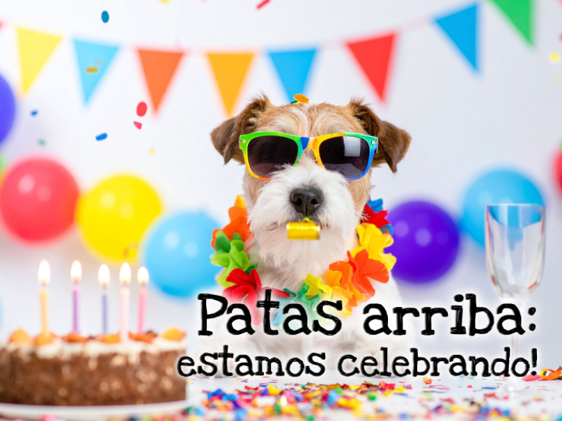 Sample  Patas arriba Front