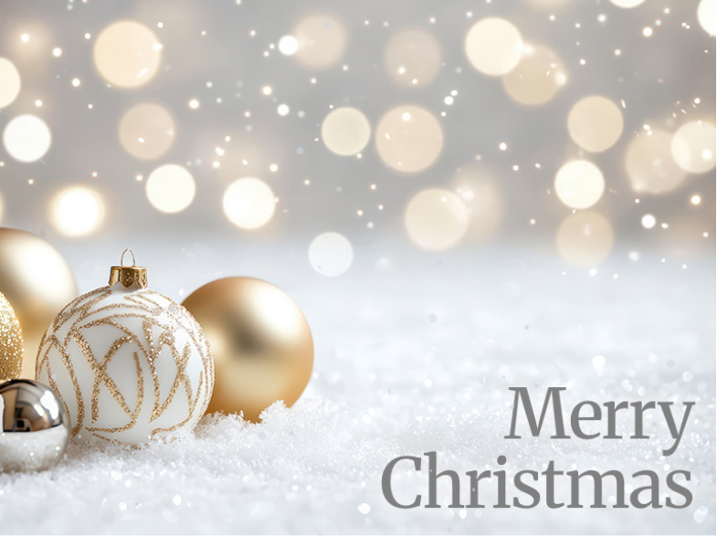 Sample  Serious X-Mas Front