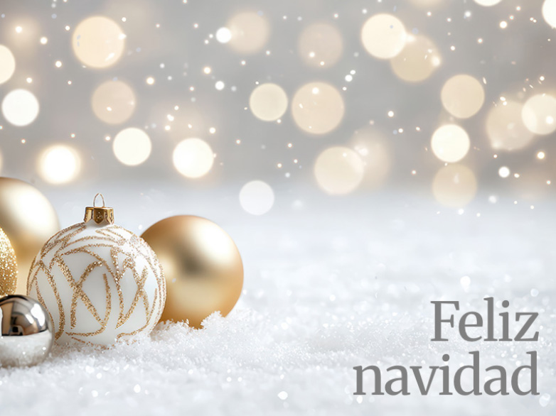eCard  Navidad seria Front